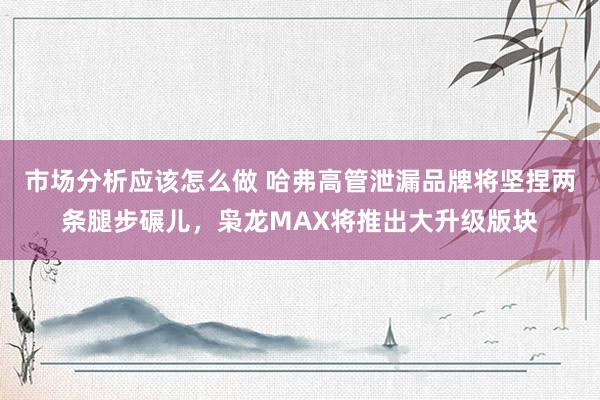 市场分析应该怎么做 哈弗高管泄漏品牌将坚捏两条腿步碾儿，枭龙MAX将推出大升级版块