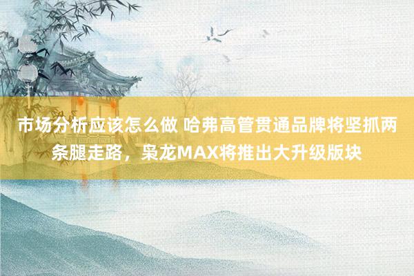 市场分析应该怎么做 哈弗高管贯通品牌将坚抓两条腿走路，枭龙MAX将推出大升级版块